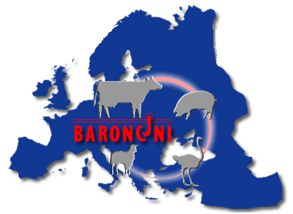 EDM Baroncini
