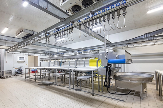 servizi per macellazione industriale